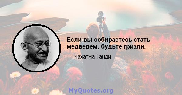 Если вы собираетесь стать медведем, будьте гризли.