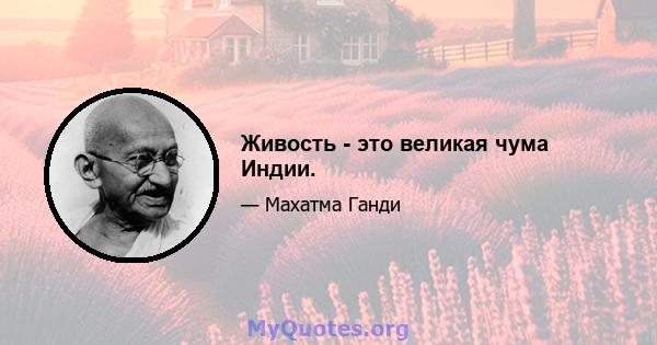 Живость - это великая чума Индии.