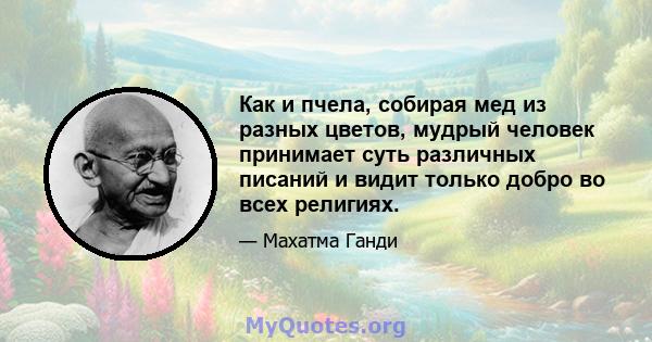 Как и пчела, собирая мед из разных цветов, мудрый человек принимает суть различных писаний и видит только добро во всех религиях.