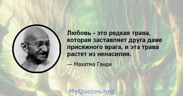 Любовь - это редкая трава, которая заставляет друга даже присяжного врага, и эта трава растет из ненасилия.