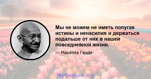 Мы не можем не иметь попугая истины и ненасилия и держаться подальше от них в нашей повседневной жизни.