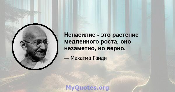 Ненасилие - это растение медленного роста, оно незаметно, но верно.