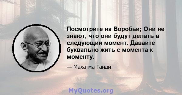 Посмотрите на Воробьи; Они не знают, что они будут делать в следующий момент. Давайте буквально жить с момента к моменту.