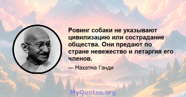 Ровинг собаки не указывают цивилизацию или сострадание общества. Они предают по стране невежество и летаргия его членов.