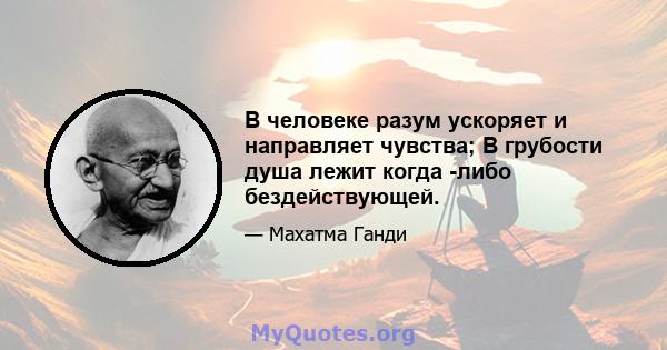 В человеке разум ускоряет и направляет чувства; В грубости душа лежит когда -либо бездействующей.