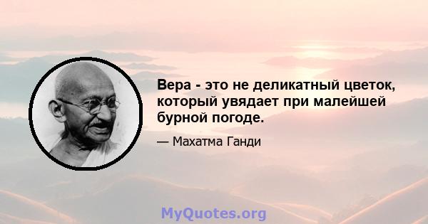 Вера - это не деликатный цветок, который увядает при малейшей бурной погоде.