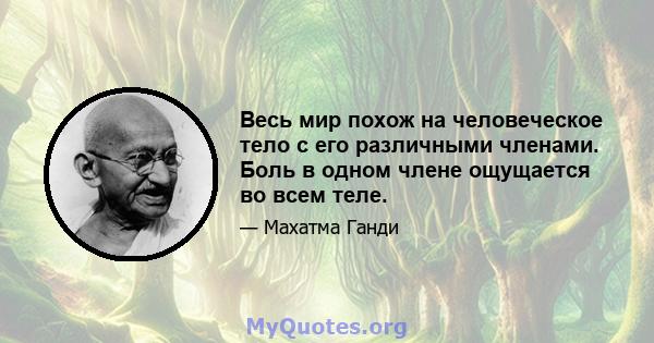 Весь мир похож на человеческое тело с его различными членами. Боль в одном члене ощущается во всем теле.