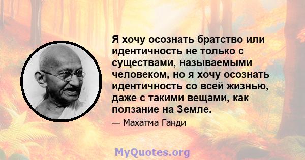 Я хочу осознать братство или идентичность не только с существами, называемыми человеком, но я хочу осознать идентичность со всей жизнью, даже с такими вещами, как ползание на Земле.