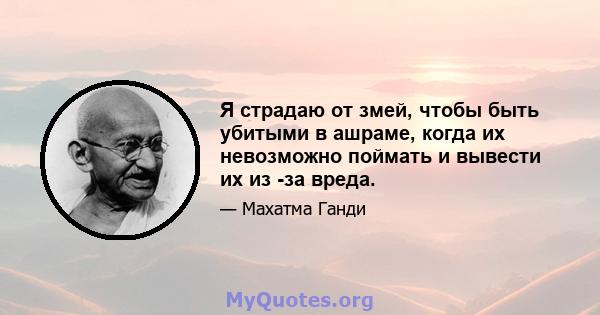 Я страдаю от змей, чтобы быть убитыми в ашраме, когда их невозможно поймать и вывести их из -за вреда.