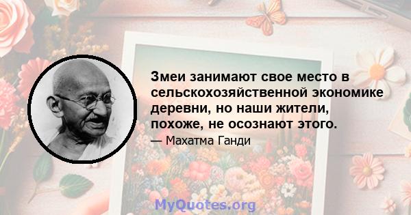 Змеи занимают свое место в сельскохозяйственной экономике деревни, но наши жители, похоже, не осознают этого.