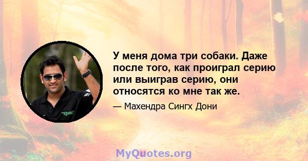 У меня дома три собаки. Даже после того, как проиграл серию или выиграв серию, они относятся ко мне так же.