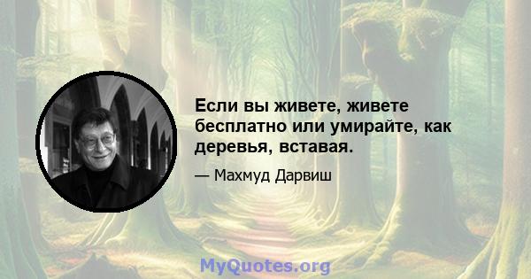 Если вы живете, живете бесплатно или умирайте, как деревья, вставая.