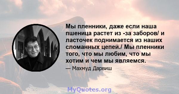 Мы пленники, даже если наша пшеница растет из -за заборов/ и ласточек поднимается из наших сломанных цепей./ Мы пленники того, что мы любим, что мы хотим и чем мы являемся.