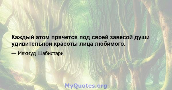 Каждый атом прячется под своей завесой души удивительной красоты лица любимого.