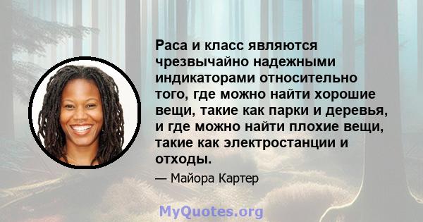 Раса и класс являются чрезвычайно надежными индикаторами относительно того, где можно найти хорошие вещи, такие как парки и деревья, и где можно найти плохие вещи, такие как электростанции и отходы.