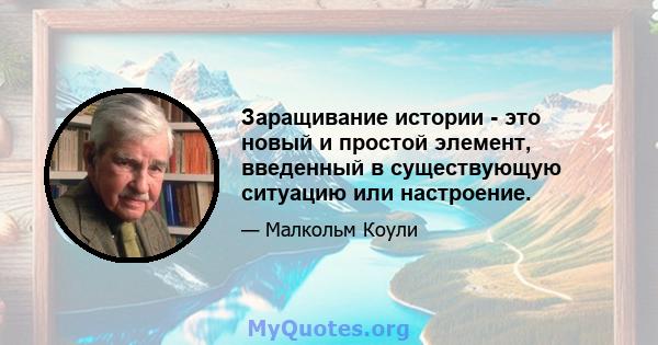 Заращивание истории - это новый и простой элемент, введенный в существующую ситуацию или настроение.