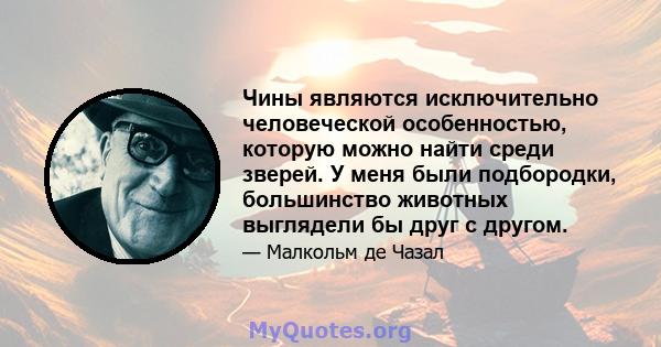 Чины являются исключительно человеческой особенностью, которую можно найти среди зверей. У меня были подбородки, большинство животных выглядели бы друг с другом.