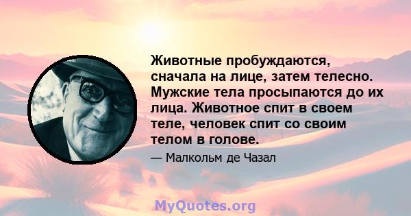 Животные пробуждаются, сначала на лице, затем телесно. Мужские тела просыпаются до их лица. Животное спит в своем теле, человек спит со своим телом в голове.