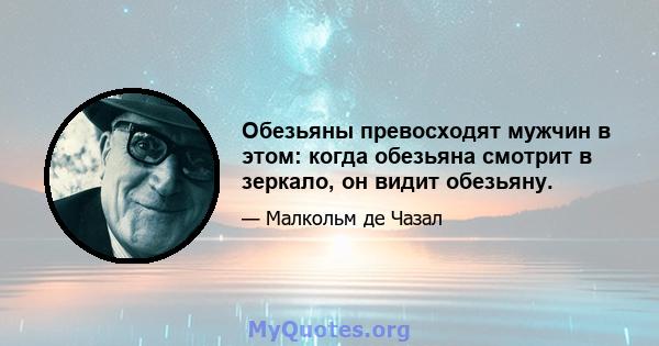 Обезьяны превосходят мужчин в этом: когда обезьяна смотрит в зеркало, он видит обезьяну.