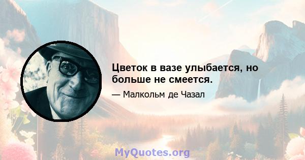 Цветок в вазе улыбается, но больше не смеется.