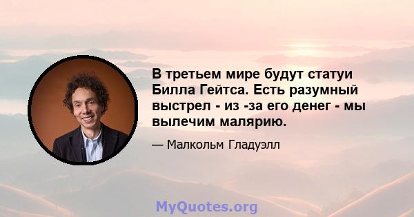 В третьем мире будут статуи Билла Гейтса. Есть разумный выстрел - из -за его денег - мы вылечим малярию.