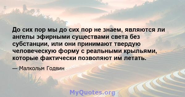 До сих пор мы до сих пор не знаем, являются ли ангелы эфирными существами света без субстанции, или они принимают твердую человеческую форму с реальными крыльями, которые фактически позволяют им летать.