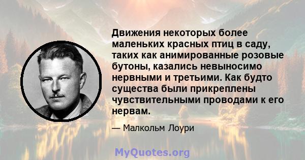 Движения некоторых более маленьких красных птиц в саду, таких как анимированные розовые бутоны, казались невыносимо нервными и третьими. Как будто существа были прикреплены чувствительными проводами к его нервам.