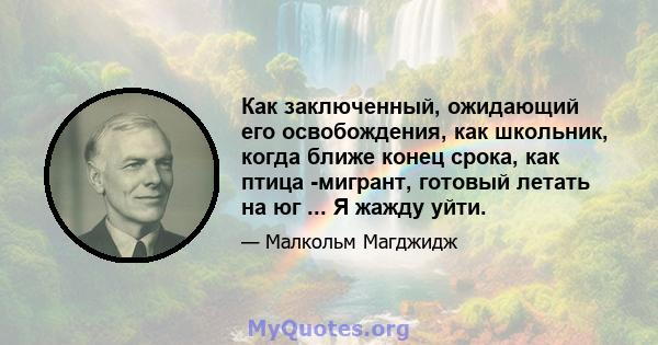 Как заключенный, ожидающий его освобождения, как школьник, когда ближе конец срока, как птица -мигрант, готовый летать на юг ... Я жажду уйти.