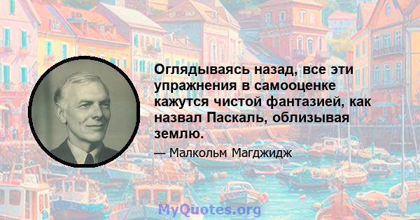 Оглядываясь назад, все эти упражнения в самооценке кажутся чистой фантазией, как назвал Паскаль, облизывая землю.