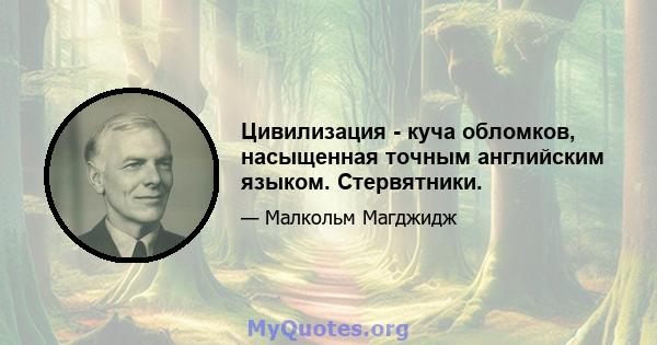 Цивилизация - куча обломков, насыщенная точным английским языком. Стервятники.