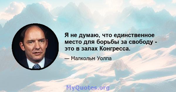 Я не думаю, что единственное место для борьбы за свободу - это в залах Конгресса.