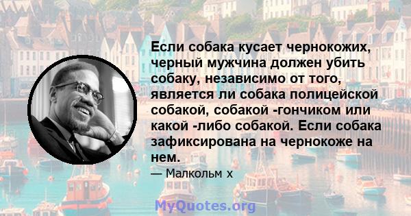 Если собака кусает чернокожих, черный мужчина должен убить собаку, независимо от того, является ли собака полицейской собакой, собакой -гончиком или какой -либо собакой. Если собака зафиксирована на чернокоже на нем.