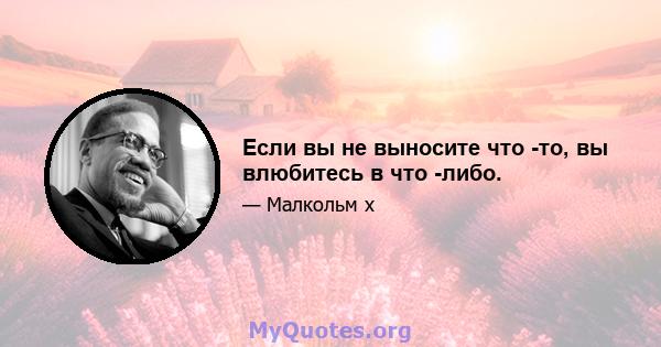 Если вы не выносите что -то, вы влюбитесь в что -либо.