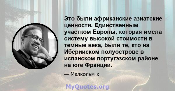 Это были африканские азиатские ценности. Единственным участком Европы, которая имела систему высокой стоимости в темные века, были те, кто на Иберийском полуострове в испанском португэзском районе на юге Франции.