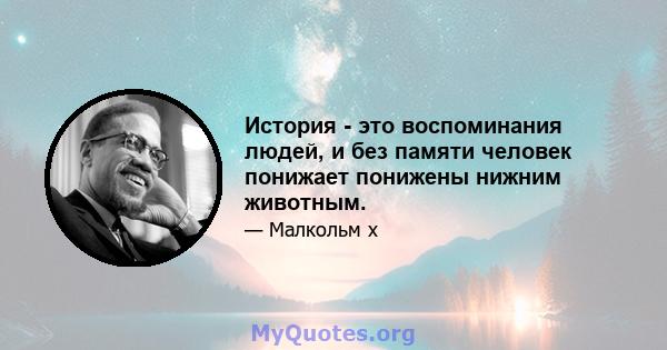 История - это воспоминания людей, и без памяти человек понижает понижены нижним животным.