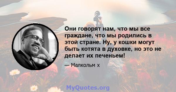 Они говорят нам, что мы все граждане, что мы родились в этой стране. Ну, у кошки могут быть котята в духовке, но это не делает их печеньем!