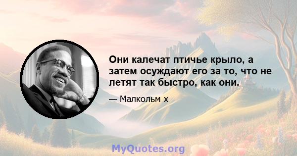 Они калечат птичье крыло, а затем осуждают его за то, что не летят так быстро, как они.