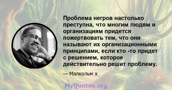 Проблема негров настолько преступна, что многим людям и организациям придется пожертвовать тем, что они называют их организационными принципами, если кто -то придет с решением, которое действительно решит проблему.