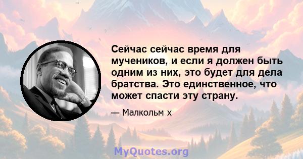 Сейчас сейчас время для мучеников, и если я должен быть одним из них, это будет для дела братства. Это единственное, что может спасти эту страну.