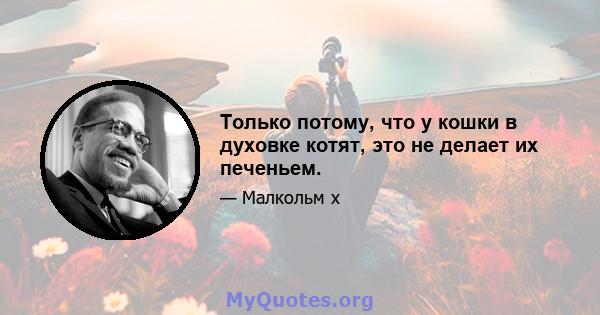 Только потому, что у кошки в духовке котят, это не делает их печеньем.