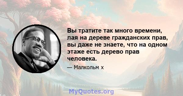 Вы тратите так много времени, лая на дереве гражданских прав, вы даже не знаете, что на одном этаже есть дерево прав человека.