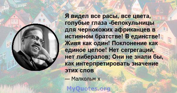 Я видел все расы, все цвета, голубые глаза -белокульницы для чернокожих африканцев в истинном братстве! В единстве! Живя как один! Поклонение как единое целое! Нет сегрегаций, нет либералов; Они не знали бы, как