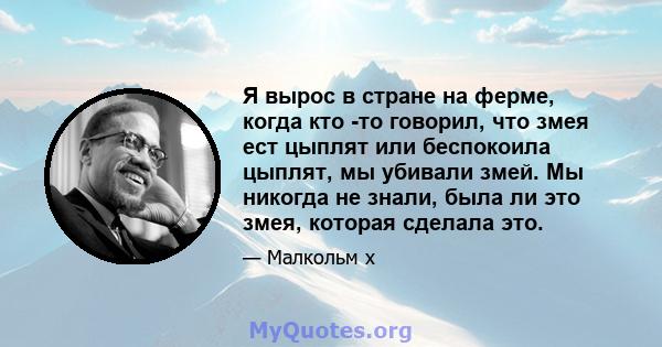 Я вырос в стране на ферме, когда кто -то говорил, что змея ест цыплят или беспокоила цыплят, мы убивали змей. Мы никогда не знали, была ли это змея, которая сделала это.