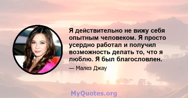 Я действительно не вижу себя опытным человеком. Я просто усердно работал и получил возможность делать то, что я люблю. Я был благословлен.