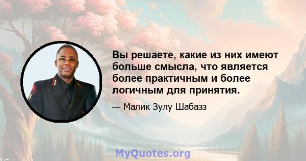 Вы решаете, какие из них имеют больше смысла, что является более практичным и более логичным для принятия.