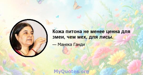 Кожа питона не менее ценна для змеи, чем мех, для лисы.