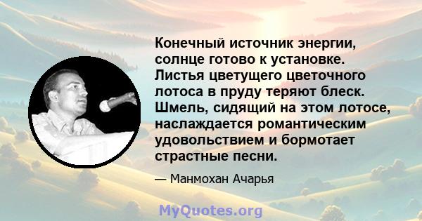 Конечный источник энергии, солнце готово к установке. Листья цветущего цветочного лотоса в пруду теряют блеск. Шмель, сидящий на этом лотосе, наслаждается романтическим удовольствием и бормотает страстные песни.