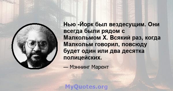 Нью -Йорк был вездесущим. Они всегда были рядом с Малкольмом X. Всякий раз, когда Малкольм говорил, повсюду будет один или два десятка полицейских.