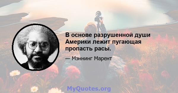 В основе разрушенной души Америки лежит пугающая пропасть расы.