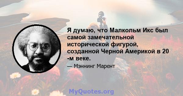 Я думаю, что Малкольм Икс был самой замечательной исторической фигурой, созданной Черной Америкой в ​​20 -м веке.